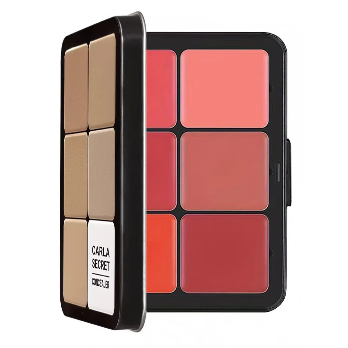12-color all-in-one iron-box concealer blush cream palette Silcy Skin in nude to peach tones on Tampa Home & Garden Store