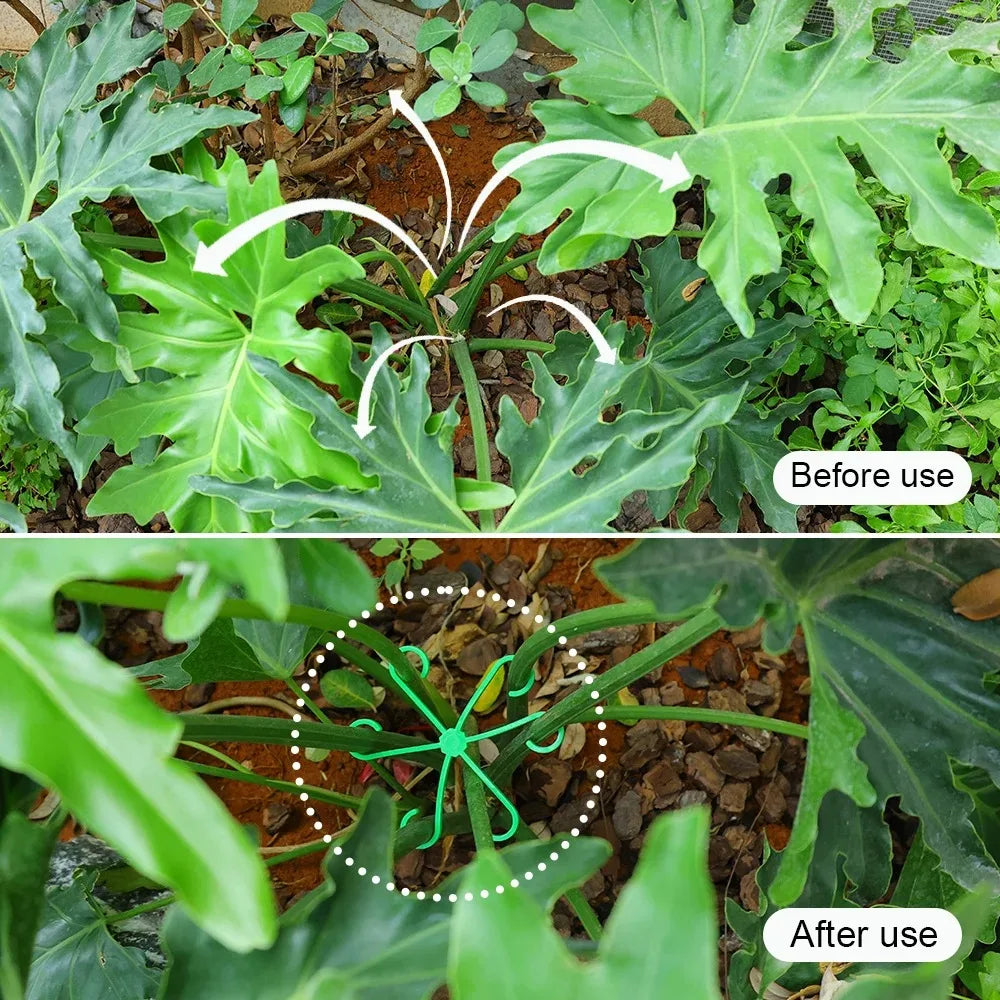 Indoor Plant Support Stakes and Plastic Hoops