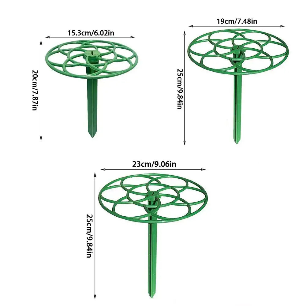Plastic Bonsai Vine Rack and Plant Support Stand