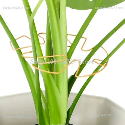 Indoor Plant Stem Support Clips for Houseplants