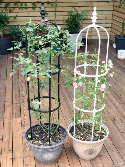 Climbing Plant Support Frame and a Garden Stand