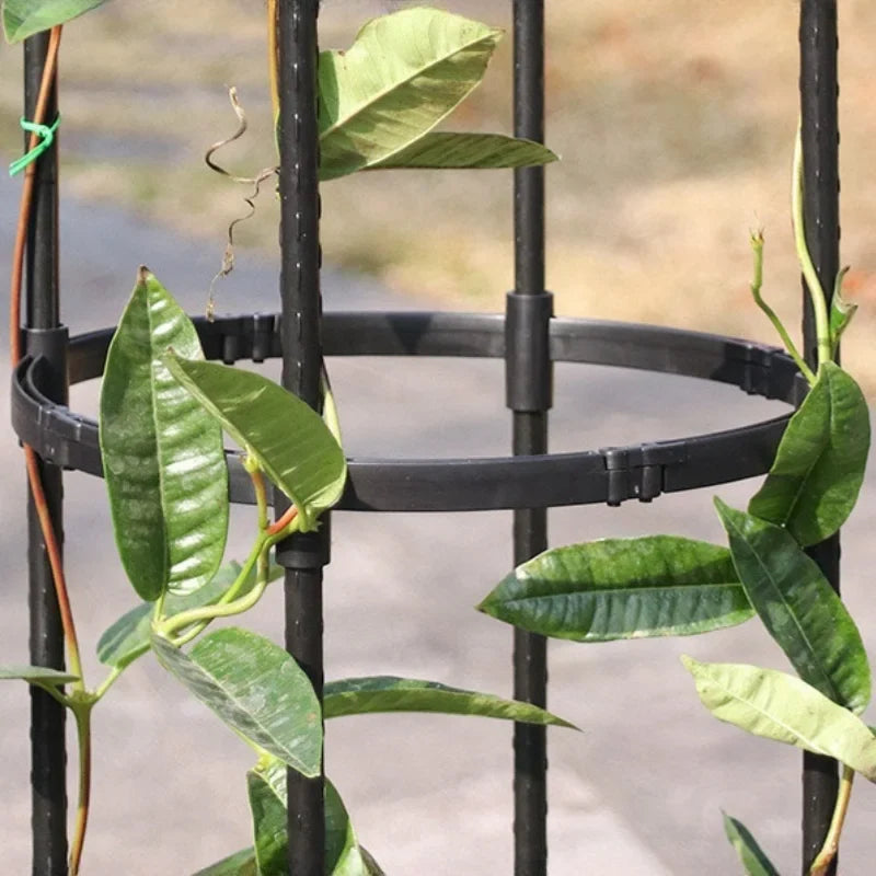 Outdoor Climbing Plant Trellis Garden Support
