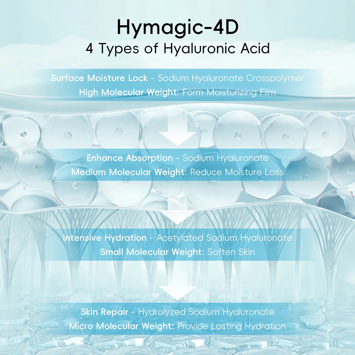 Hymagic-4D 4 Types of Hyaluronic Acid infographic with water visuals and arrows on Tampa Home & Garden Store