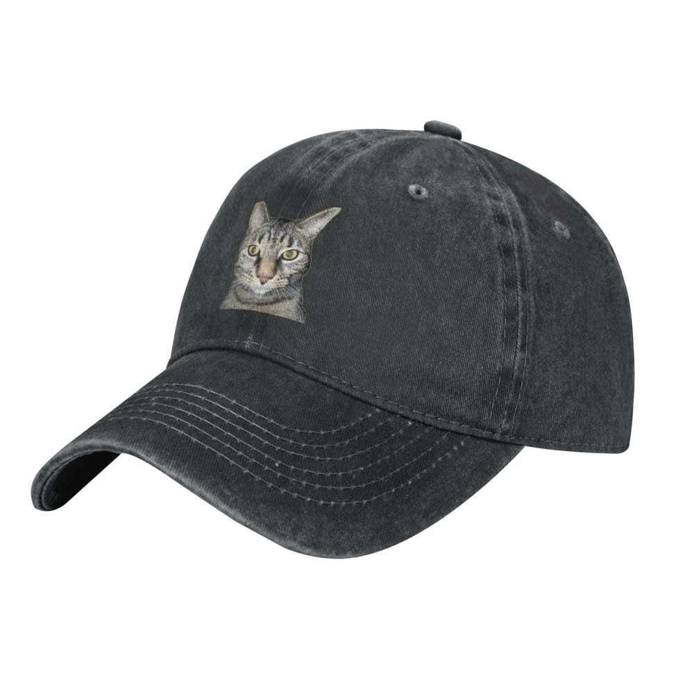 Tabby Cat Cap in faded black with front cat patch, curved brim on Tampa Home & Garden Store