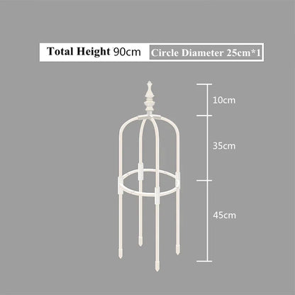 Plant Climbing Support Frame and Garden Trellis