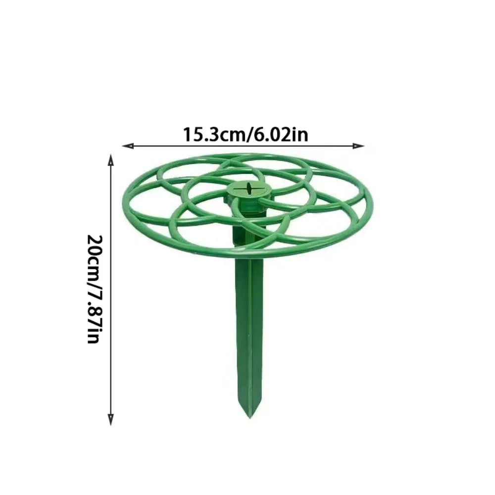Plastic Bonsai Vine Rack and Plant Support Stand