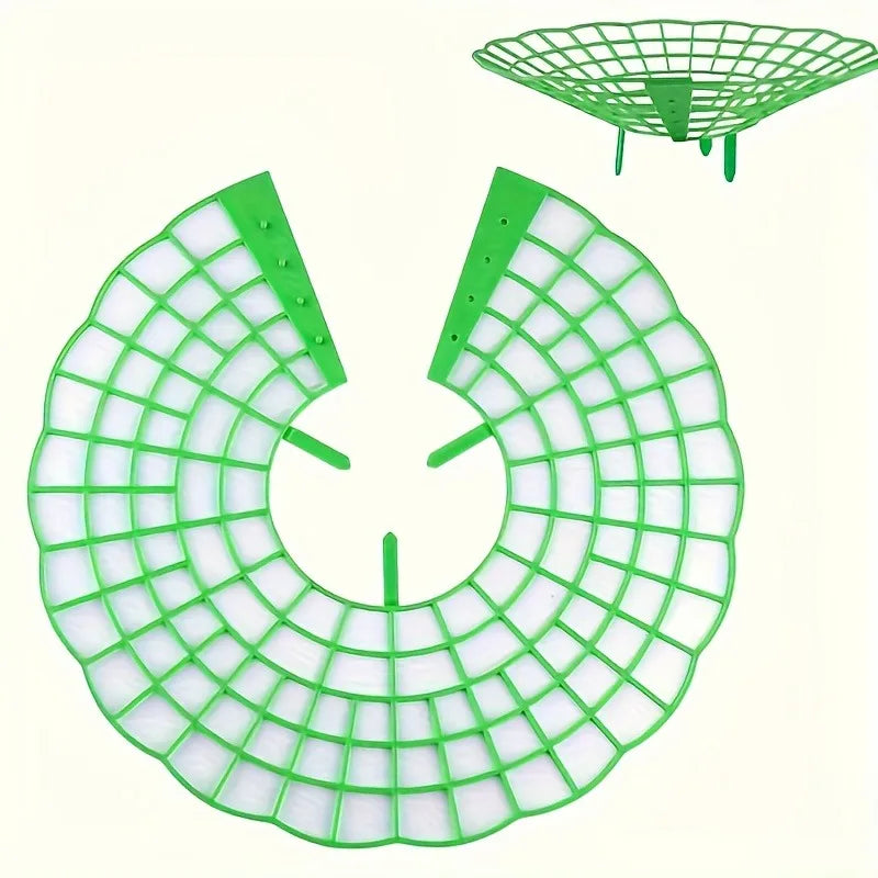 Green Pvc Strawberry Cage and Plant Protector