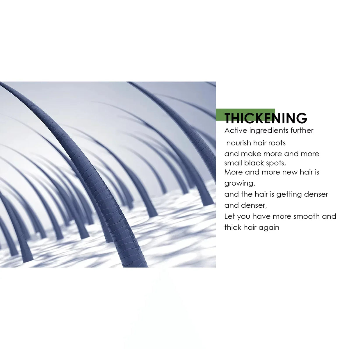 Hair growth spray concept with blue curved tubes and a green thickening panel on white on Tampa Home & Garden Store