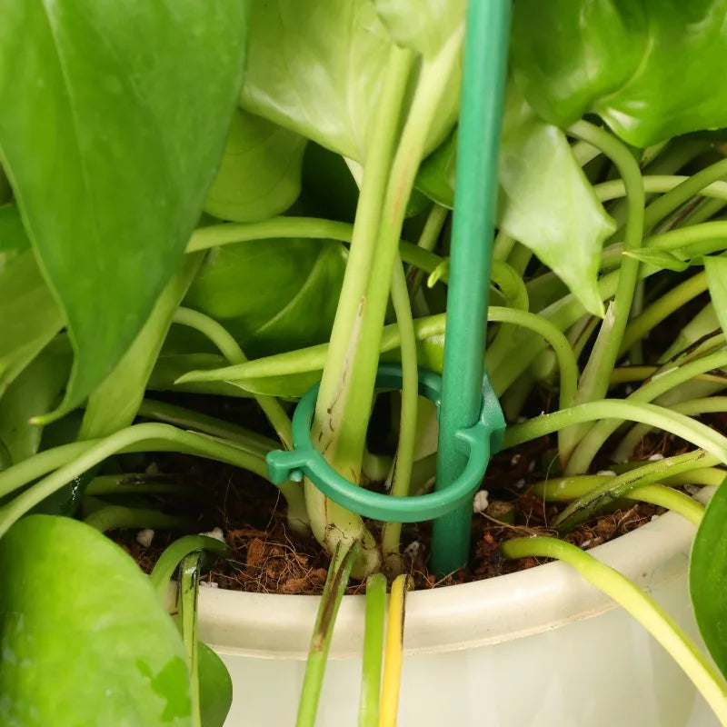Green Adjustable Plant Support Rods and Clips