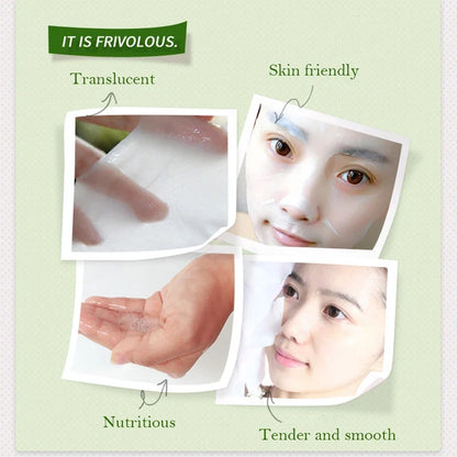 Silcy Skin 10pcs Korean natural plant facial masks aloe for moisture and oil control on Tampa Home & Garden Store