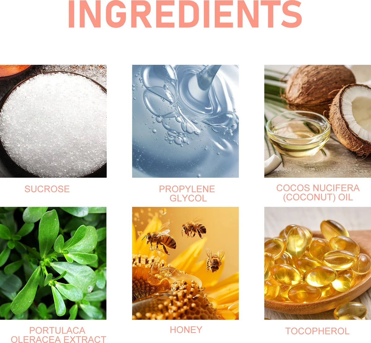 EELHOE Honey Lip Scrub ingredients collage sucrose propylene glycol coconut oil honey tocopherol on Tampa Home & Garden Store