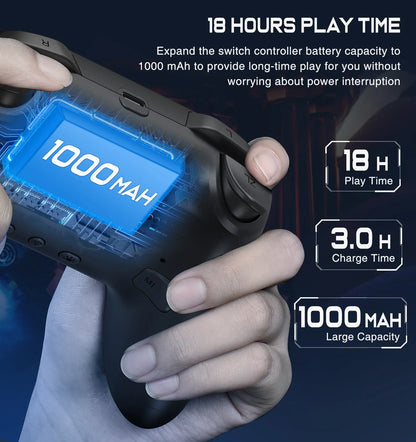 FLIPSTYLEZLLC RGB wireless controller for Nintendo Switch Pro black gamepad with 1000mAh on Tampa Home & Garden Store