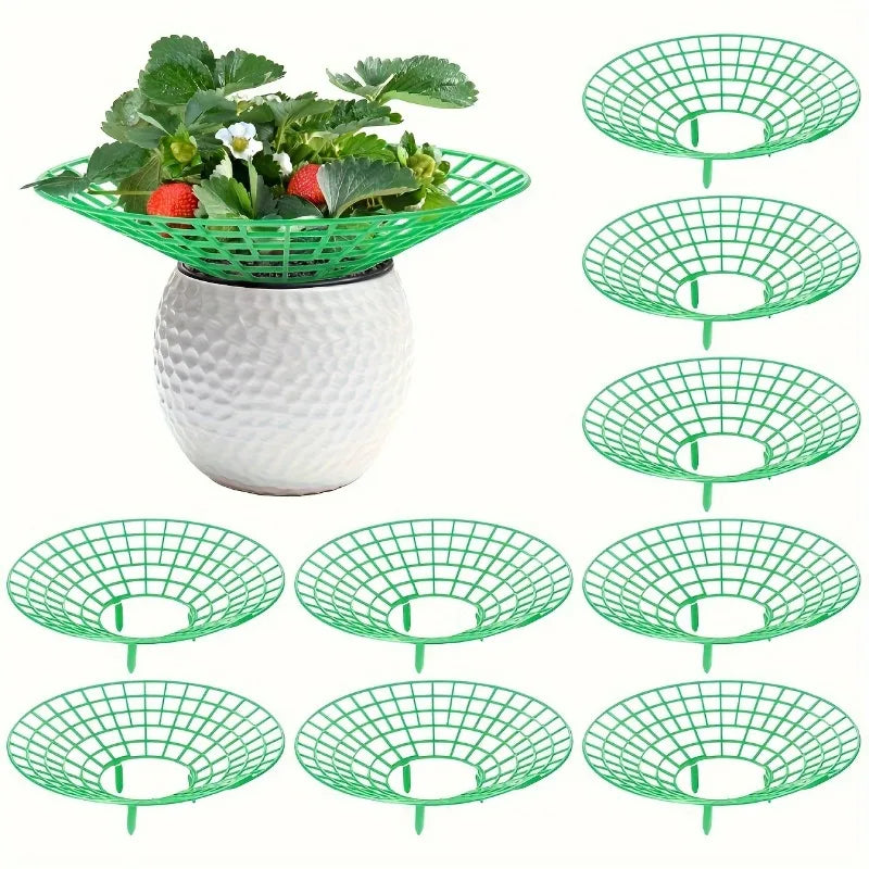 Green Pvc Strawberry Cage and Plant Protector