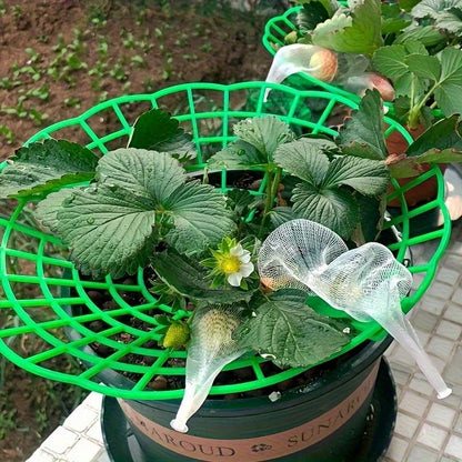 Green Pvc Strawberry Cage and Plant Protector
