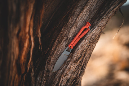 Ultralight Ridge Blade knife by Ridge Belts with red paracord lanyard wedged in a tree on Tampa Home & Garden Store