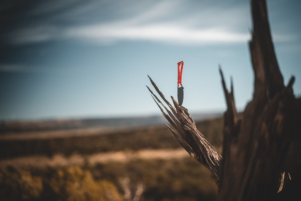 Ultralight Ridge Blade knife with orange paracord handle, Ridge Belts blade on a dried branch on Tampa Home & Garden Store