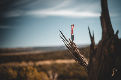 Ultralight Ridge Blade knife with orange paracord handle, Ridge Belts blade on a dried branch on Tampa Home & Garden Store