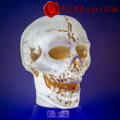 Lámpara de utilería animatrónica con forma de calavera gigante de 50 cm de altura, de poliresina resistente, decoración de Halloween