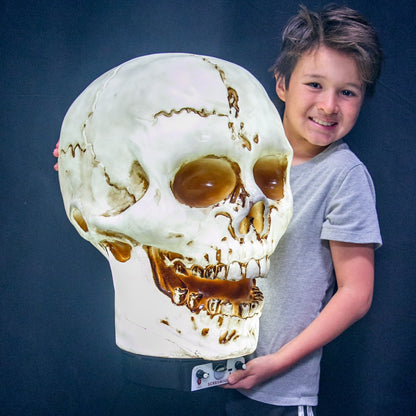 Lámpara de utilería animatrónica con forma de calavera gigante de 50 cm de altura, de poliresina resistente, decoración de Halloween