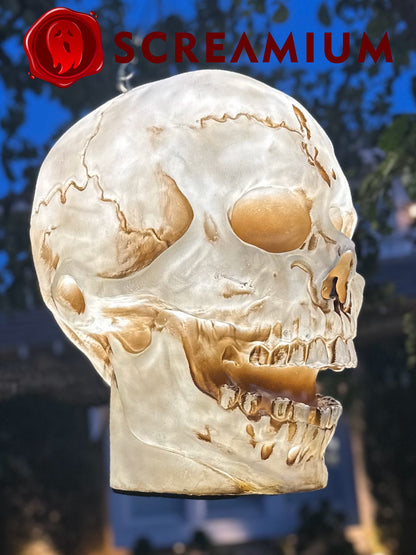 Linterna colgante gigante con calavera, utilería de 20 pulgadas de alto, impermeable, decoración de Halloween para exteriores
