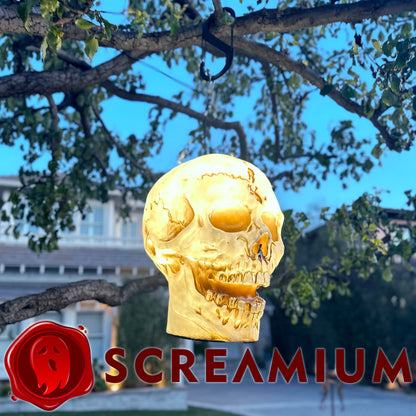 Linterna colgante gigante con calavera, utilería de 20 pulgadas de alto, impermeable, decoración de Halloween para exteriores