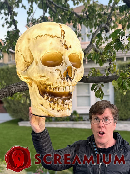 Linterna colgante gigante con calavera, utilería de 20 pulgadas de alto, impermeable, decoración de Halloween para exteriores