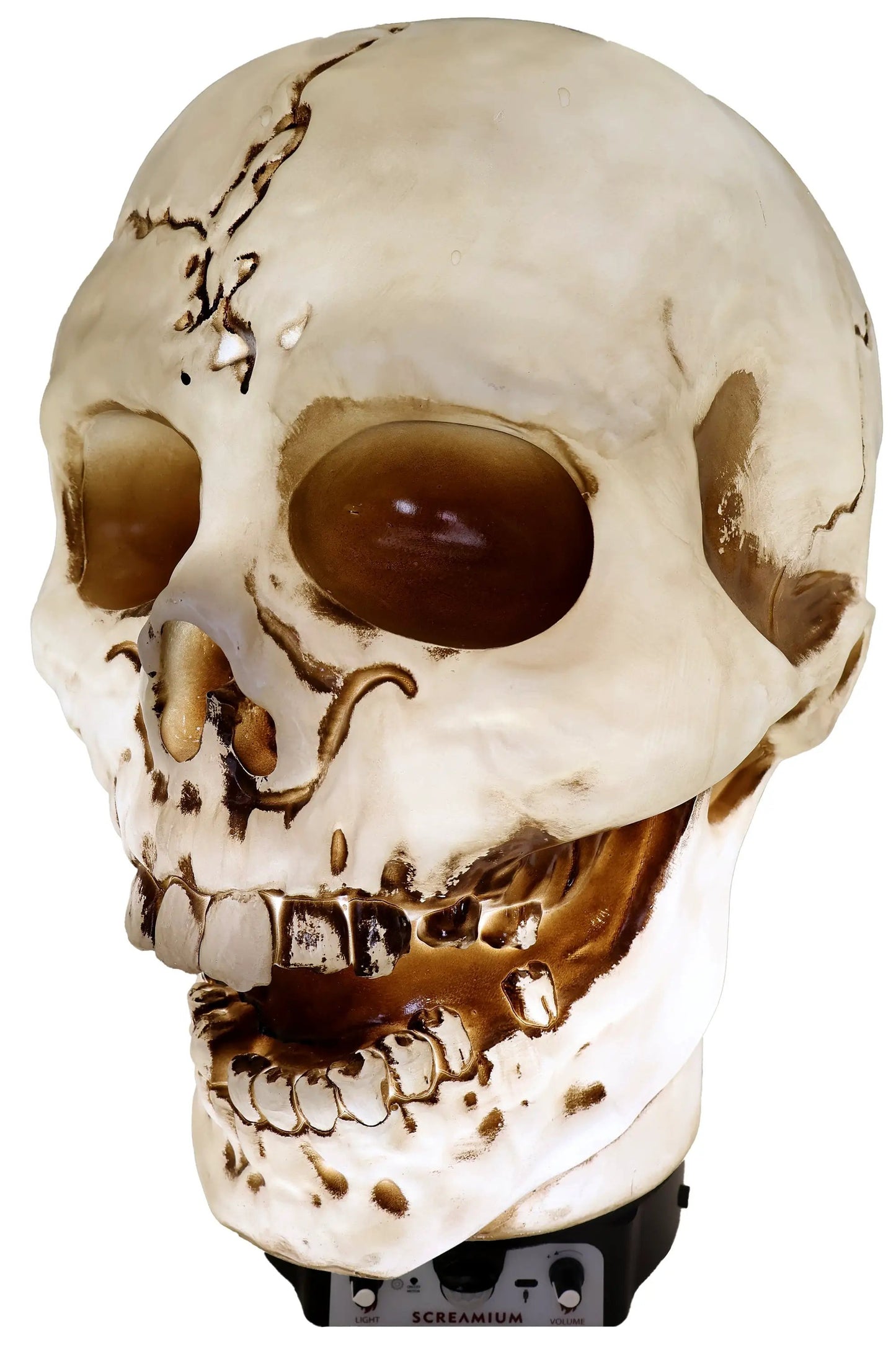 Lámpara de utilería animatrónica con forma de calavera gigante de 50 cm de altura, de poliresina resistente, decoración de Halloween
