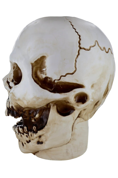 Lámpara de utilería animatrónica con forma de calavera gigante de 50 cm de altura, de poliresina resistente, decoración de Halloween