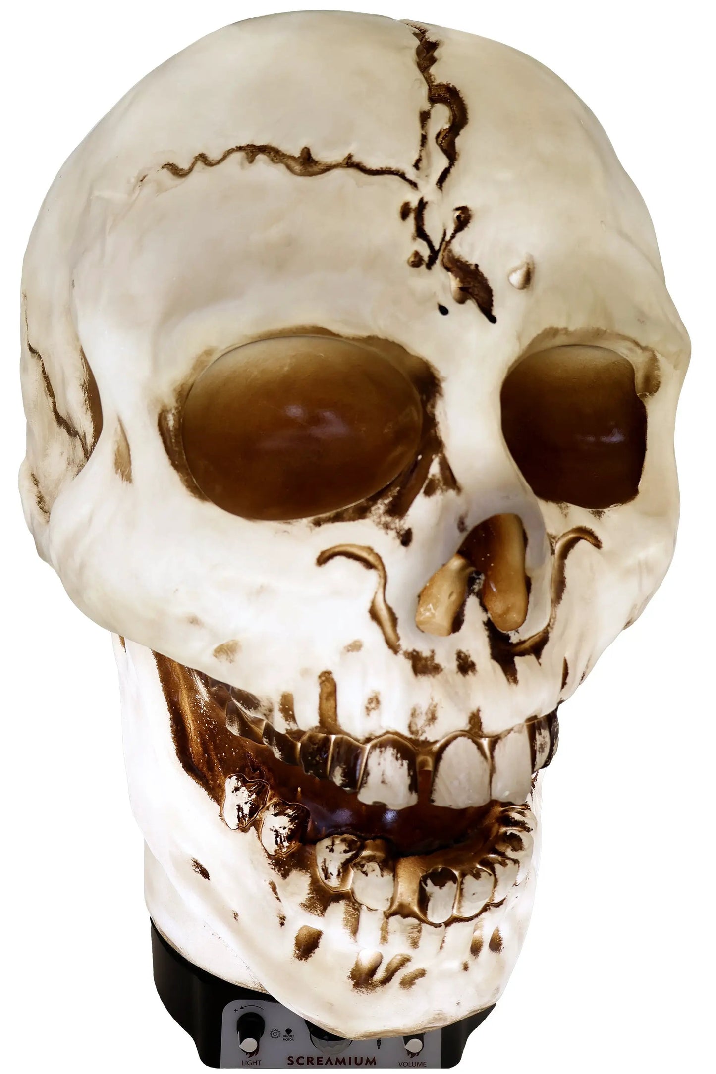 Lámpara de utilería animatrónica con forma de calavera gigante de 50 cm de altura, de poliresina resistente, decoración de Halloween