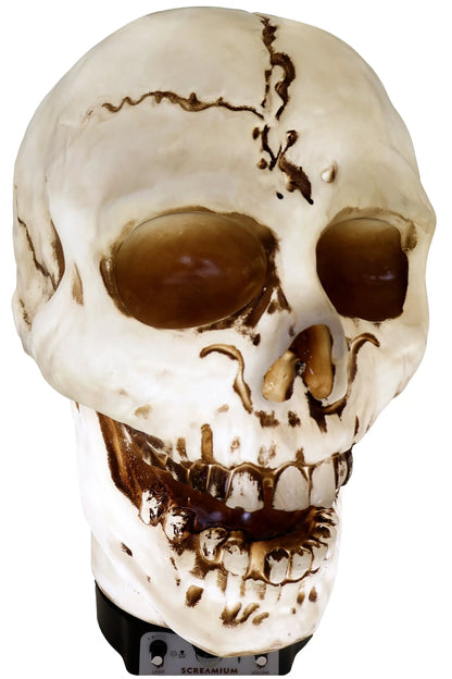 Lámpara de utilería animatrónica con forma de calavera gigante de 50 cm de altura, de poliresina resistente, decoración de Halloween