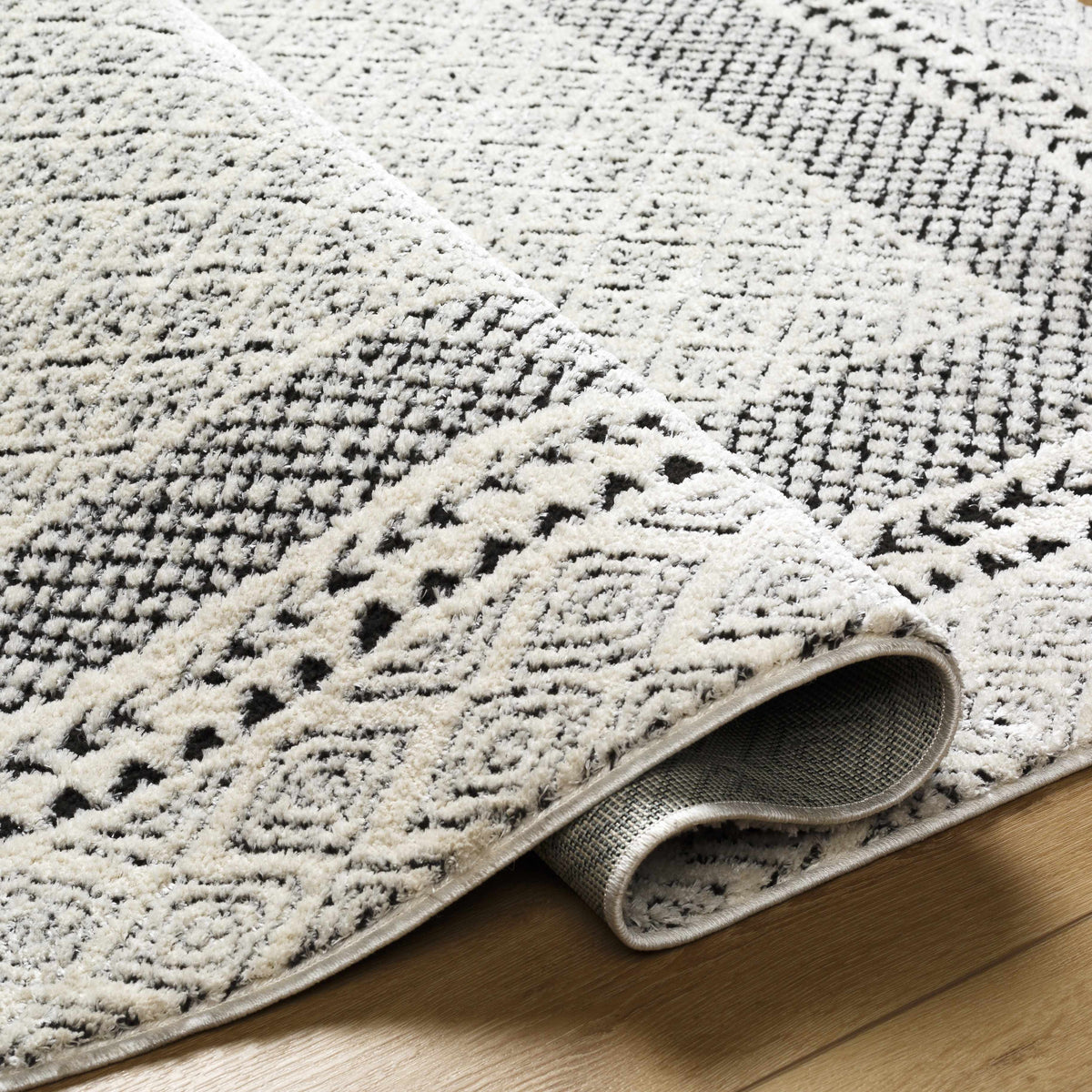 Julio Area Rug Boutique Rugs cream and black speckled pattern plush pile; 2 rugs shown on Tampa Home & Garden Store