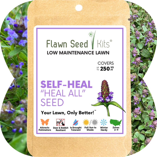 Self-Heal Seed Pouch brown kraft tag with purple border Flawn Seed Kits brand on Tampa Home & Garden Store