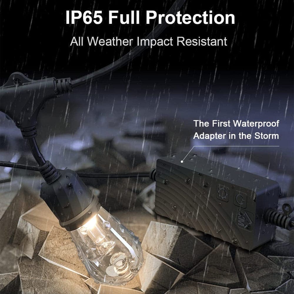 Color Changing Edison Lights LED Color Changing Edison String Lights