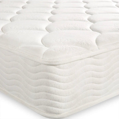 - image on Tampa Home & Garden Store