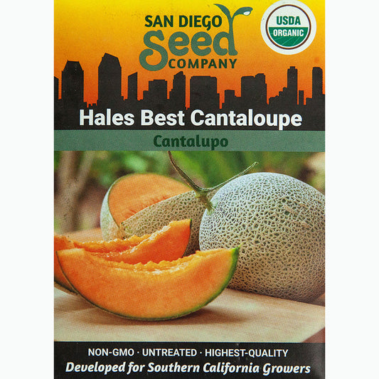 Graines de melon Hales Best (biologiques)