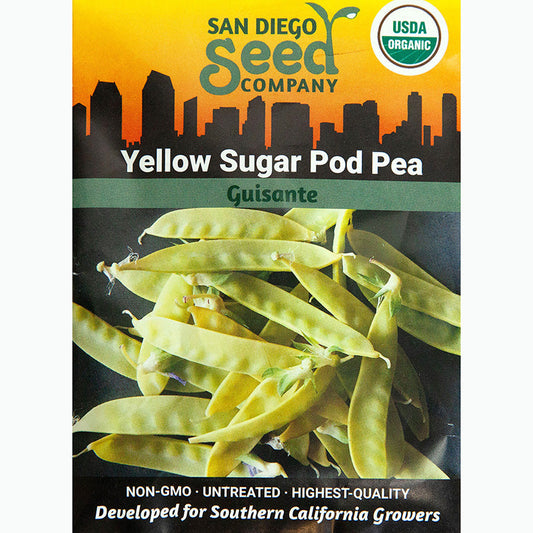 Yellow Sugar Pod Pea Seeds (Organic)