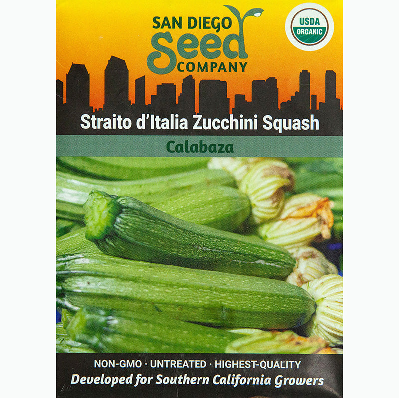 Graines de courgettes d'été Straito d'Italia (biologiques)