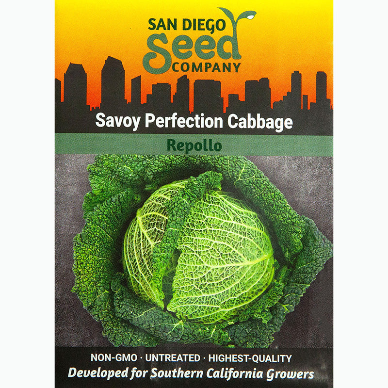 Perfection Savory Seeds - Tampa soil911.com