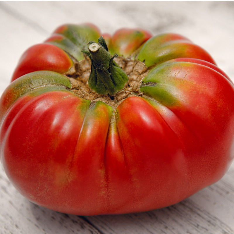 Graines de tomates Johnson allemandes (biologiques)