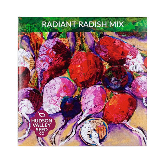 Pack artistique Radiant Radish Mix