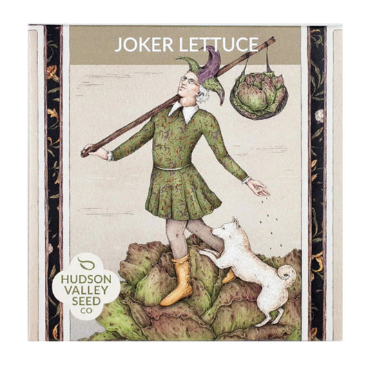 Pack artistique de laitue Joker biologique