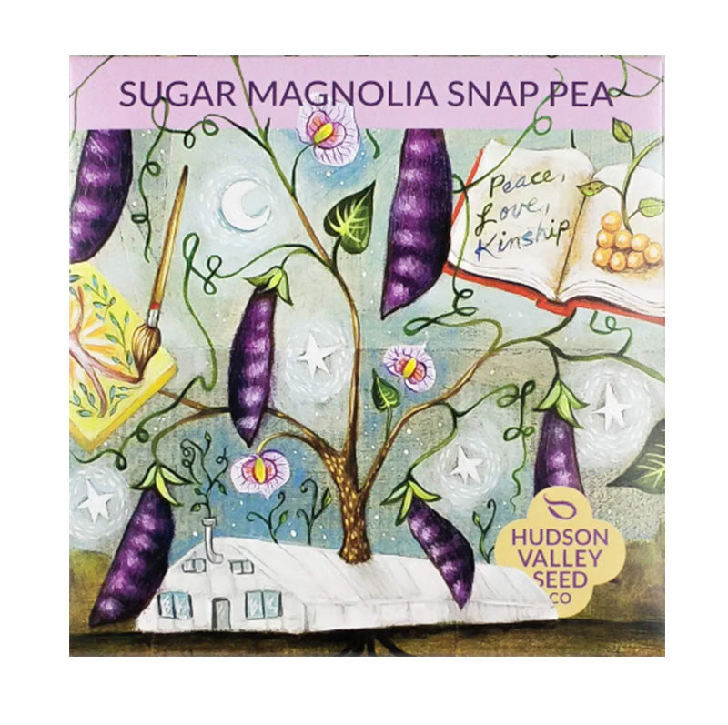 Pack artistique de pois mange-tout Sugar Magnolia