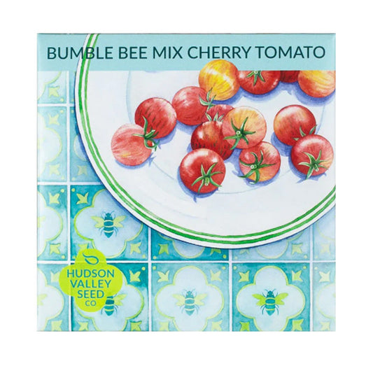 Pack artistique de mélange de tomates cerises Bumble Bee biologiques