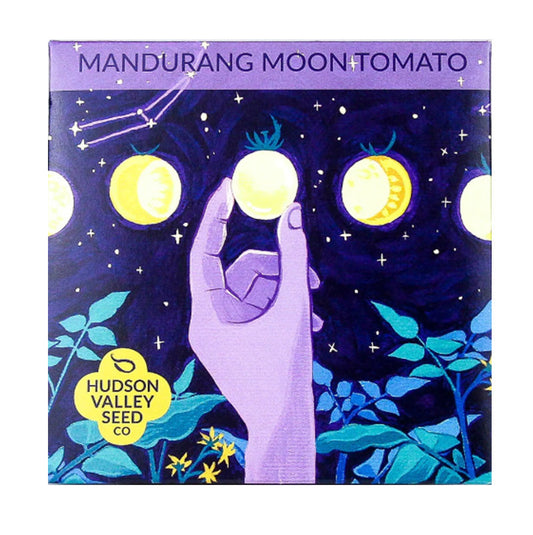 Pack artistique de tomates cerises biologiques Mandurang Moon