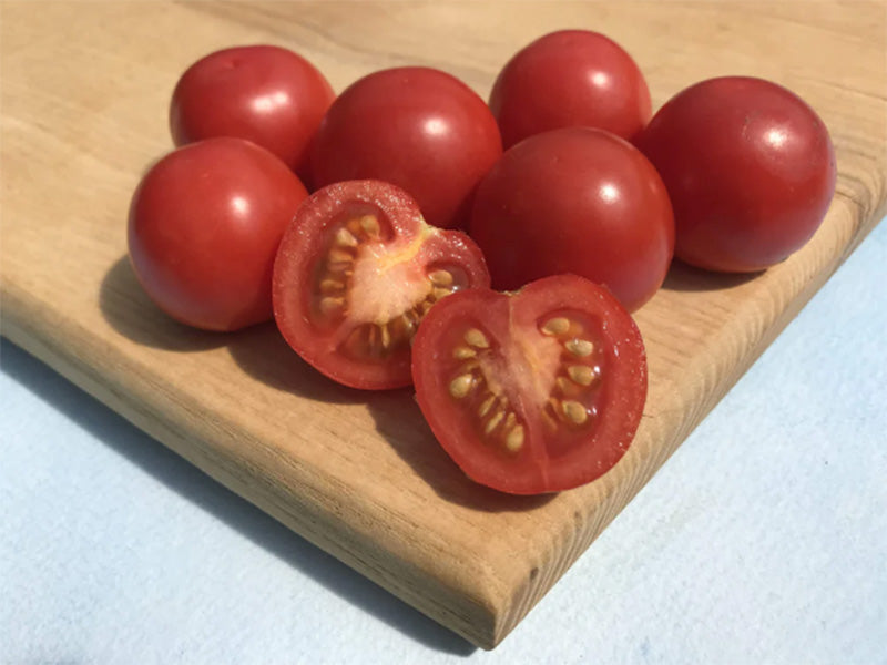 Pack artistique de tomates cerises Fox biologiques