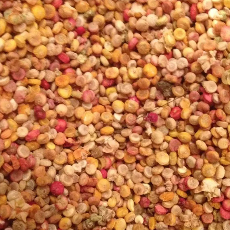 Mélange de graines de quinoa High Desert