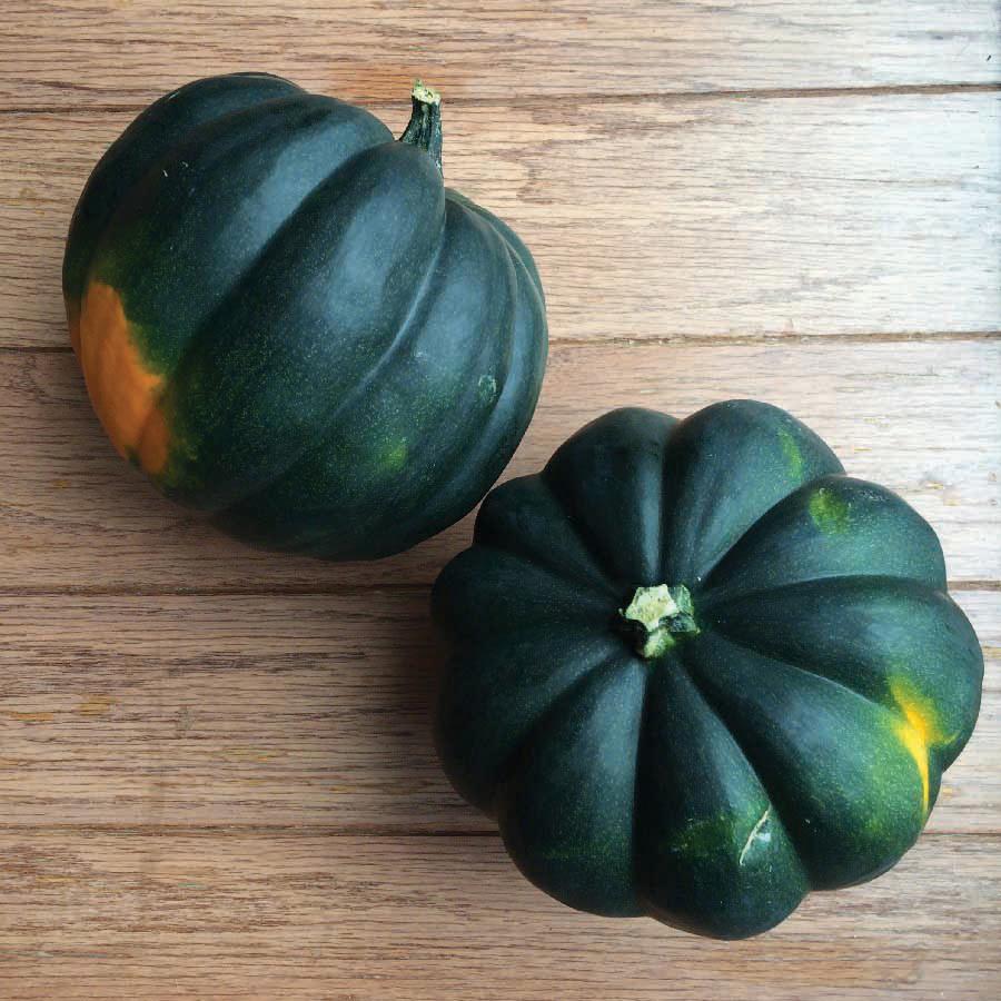 Table King Bush Acorn squash, 2 dark green ribbed winter squashes on a wood background on Tampa Home & Garden Store
