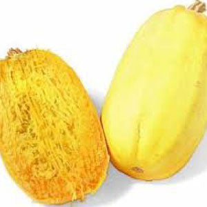 SQUASH Seeds, Spaghetti - Tampa Home & Garden Store