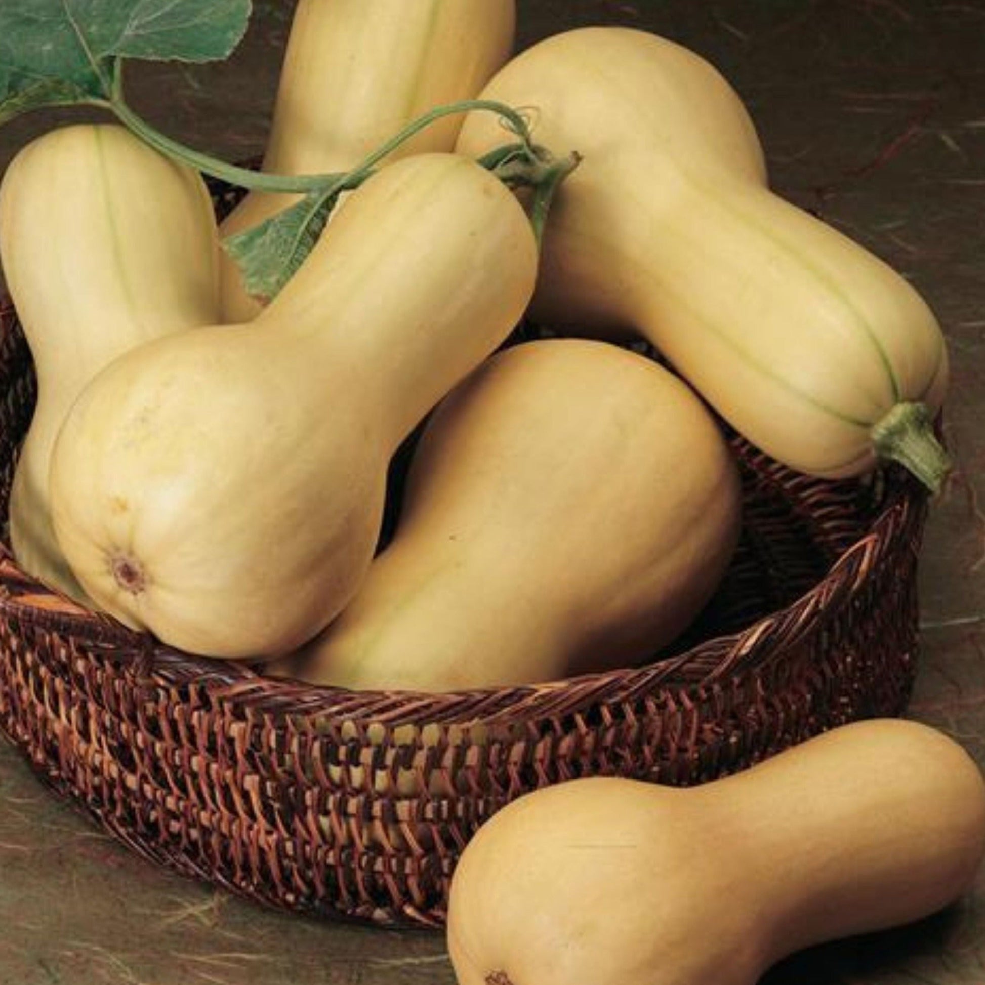 Butterbush squash in a woven basket; pale yellow winter squash, Seedtime Store on Tampa Home & Garden Store