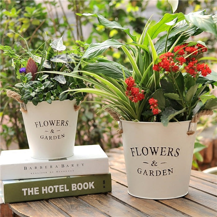 Farmhouse metal flower bucket by RusticReach, two planters with greenery and red blooms on Tampa Home & Garden Store